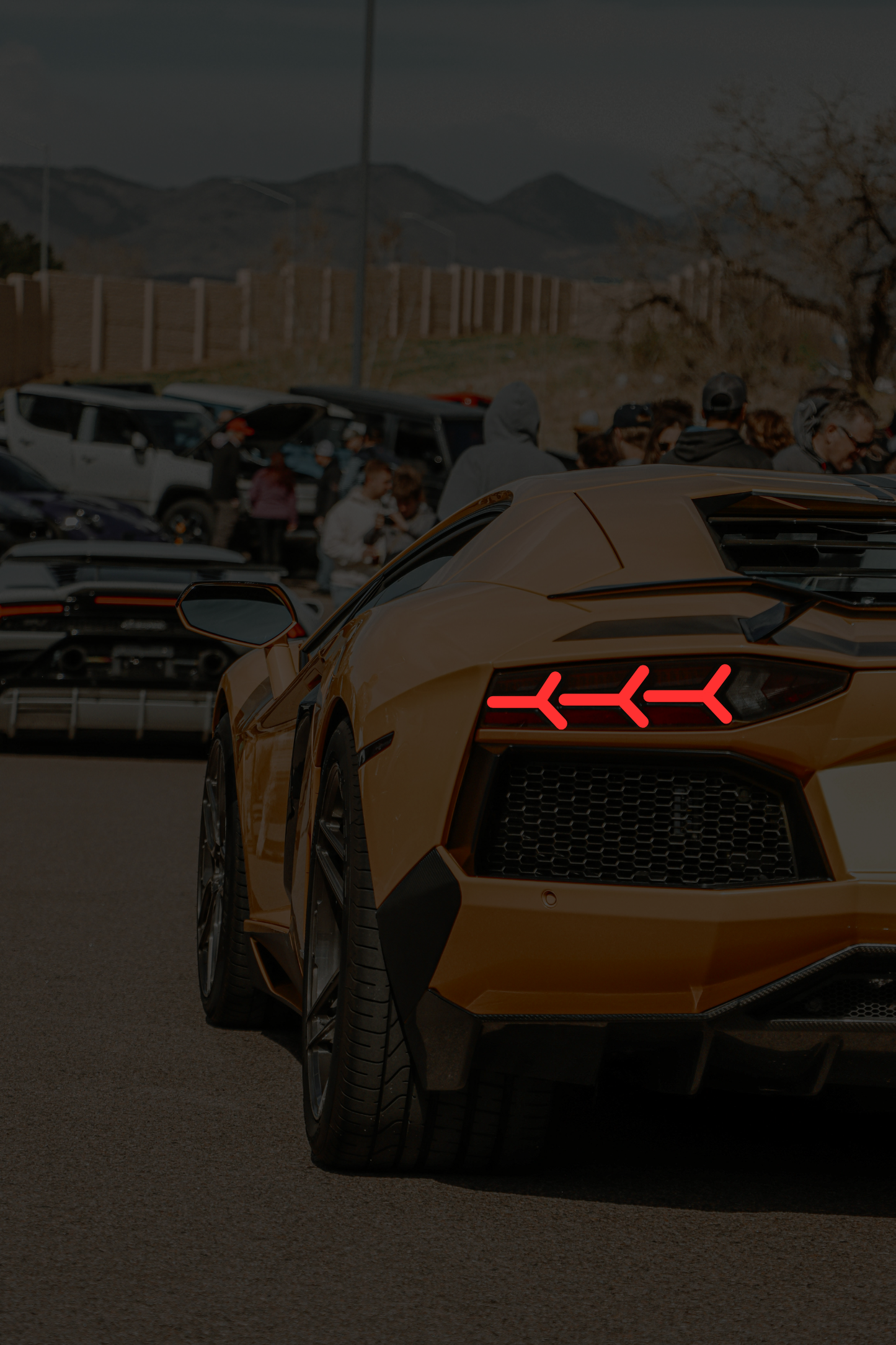 Lamborghini Aventador - Rear Acrylic Poster
