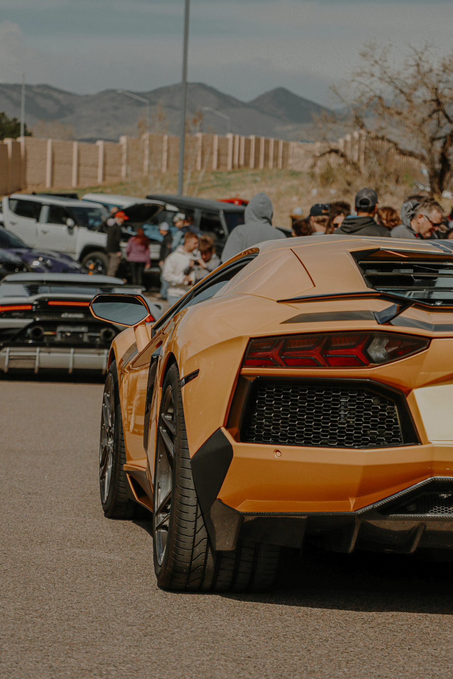 Lamborghini Aventador - Rear Acrylic Poster